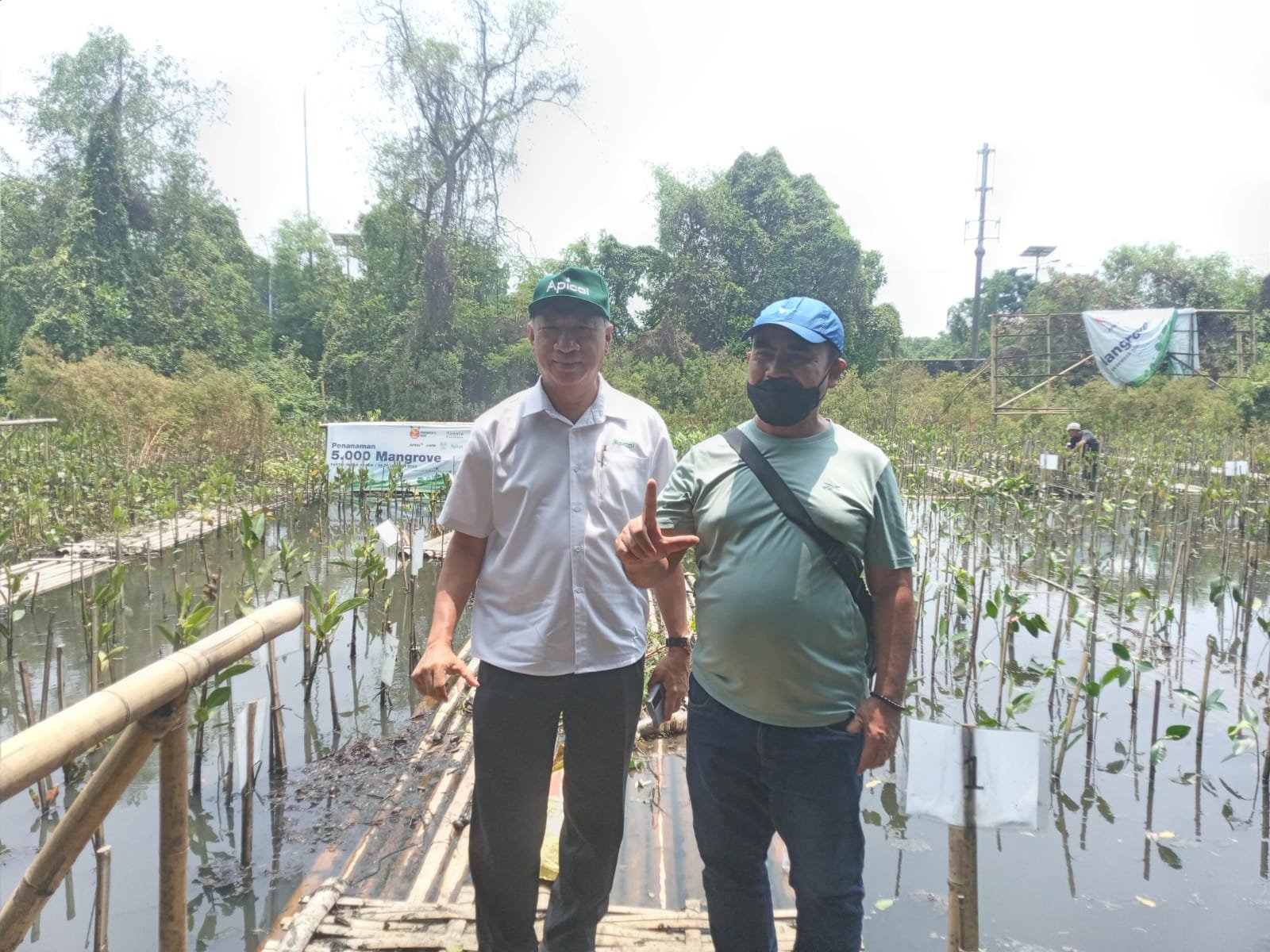 Apical Grup Wujudkan Penanaman 5.000 Mangrove di Blok Elang Laut Pantai Indah Kapuk - Teropongrakyat.co