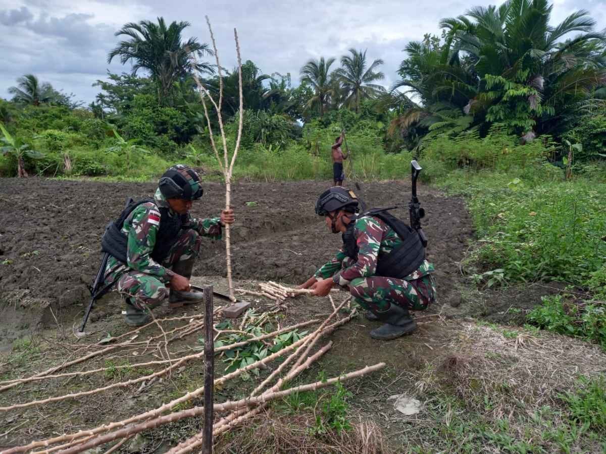 Satgas Yonif 310/KK Bantu Olah Lahan dan Tanami Singkong di Ladang Ikonius Kiapra - TeropongRakyat.co