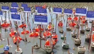 Rayakan 30 Tahun Anniversary PT. Yokogawa Indonesia Tanam 1994 Pohon Mangrove - Teropong Rakyat