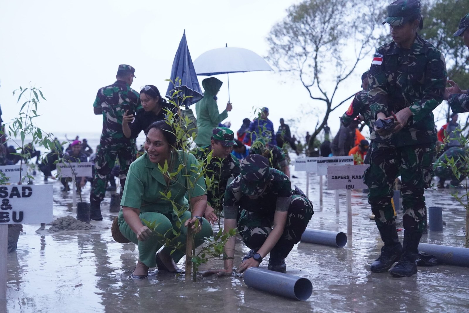Dari Kampung Ivi Mahad, Merauke, TNI AD Dukung Ketahanan Pangan