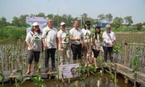 AAJI Tanam 2000 Bibit Mangrove dan Berikan Literasi Keuangan Pada Kelompok Nelayan - TeropongRakyat.co