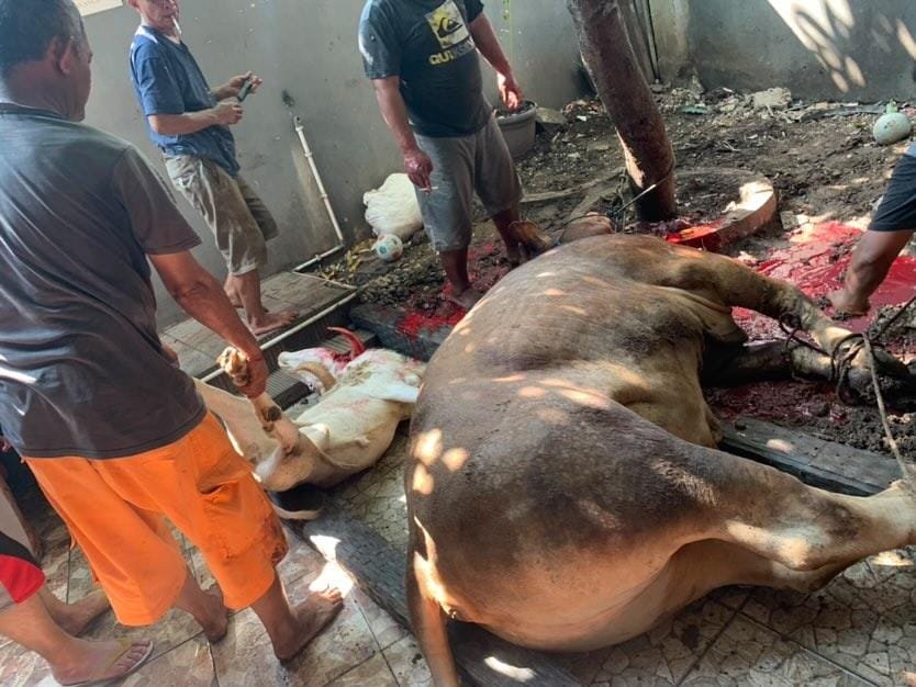 Setiap Tahun Adakan Qurban, Hery Purwanto: Sudah Sepatutnya Kita Berbagi Untuk Sesama