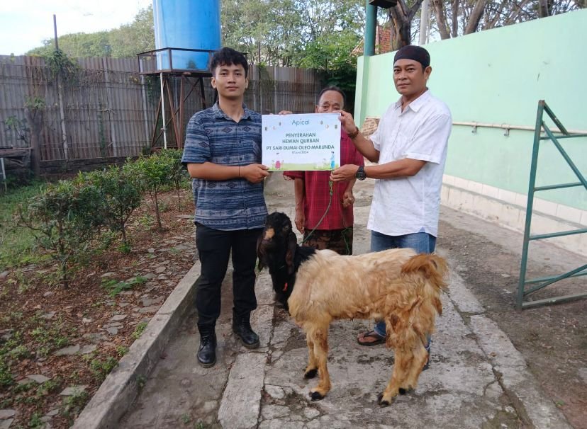 Peringati Hari Raya Idhul Adha 1445 H/ 2024 M Apical Marunda Salurkan Dan Berbagi Hewan Qurban Untuk Masyarakat Sekitar