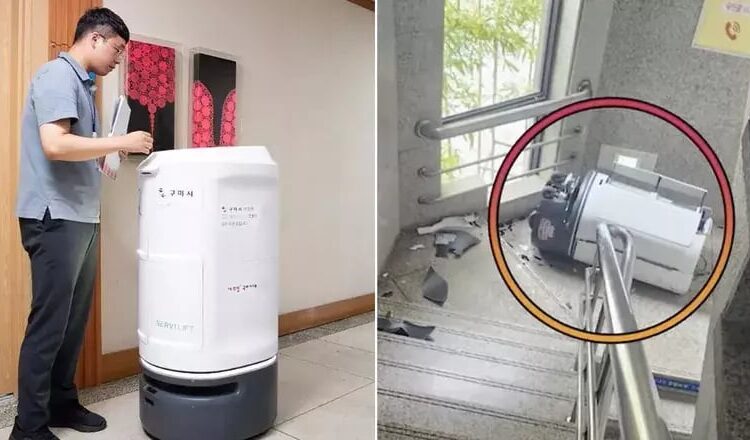 Robot di KorSel "Bunuh Diri" Gara-gara Stress Kerja Tanpa Libur. Gimana yang Manusia? - TeropongRakyat.co