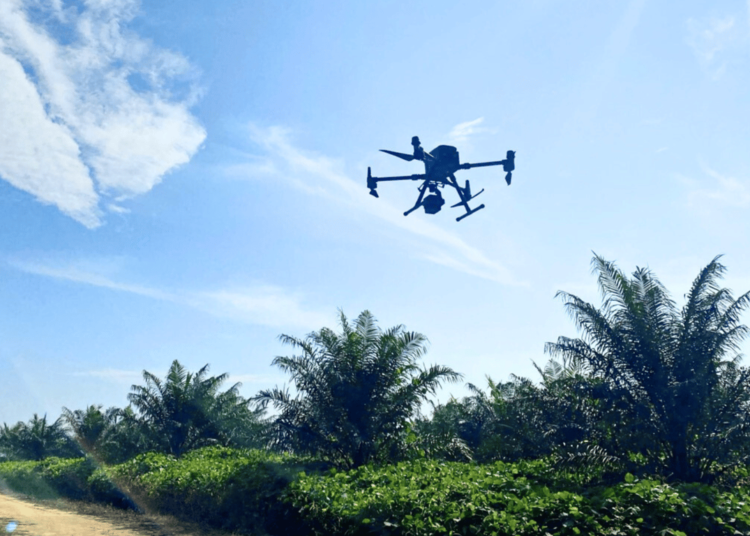 Halo Robotics Hadirkan Solusi Drone Pemetaan LiDAR untuk Perkebunan Sawit - TeropongRakyat.co