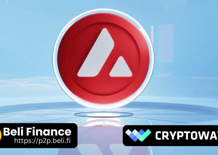 AVAX Token Resmi Diluncurkan di Jaringan BSC oleh Beli Finance dan CryptoWatch.ID! - TeropongRakyat.co