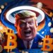 Ancaman Terhadap Trump dan Dampaknya pada Harga Bitcoin - TeropongRakyat.co