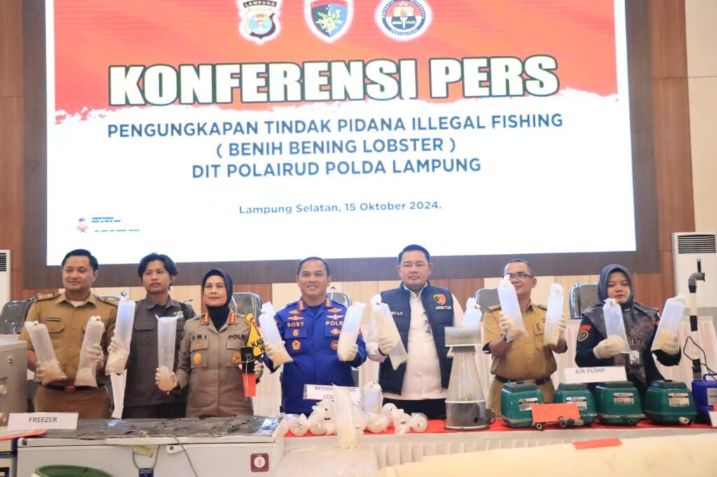 Penegakan Hukum Tegas untuk Perdagangan Benih Lobster Ilegal di Lampung - Teropong Rakyat