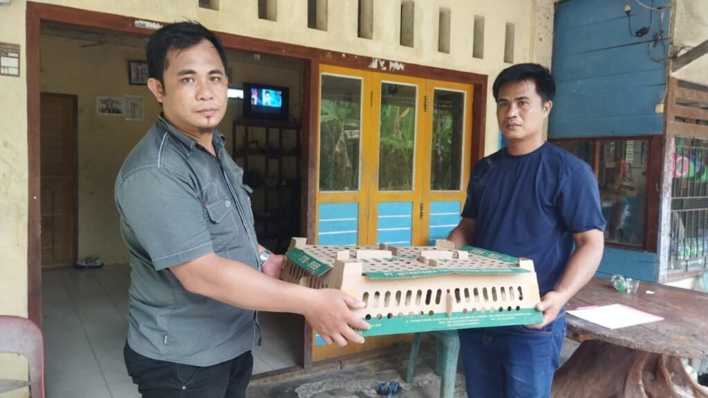 Portal Berita Indonesia dan Dunia Terkini Hari Ini, Update Harian Terbaru, Terlengkap, Tajam, Aktual dan Berimbang. Pemerintah Desa Fadoroyou Bagikan Bibit Ayam Jumbo untuk Tingkatkan Ekonomi Warga - Teropong Rakyat