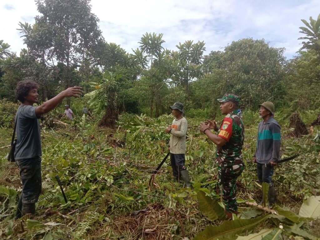 Portal Berita Indonesia dan Dunia Terkini Hari Ini, Update Harian Terbaru, Terlengkap, Tajam, Aktual dan Berimbang. Sukseskan Program Ketahanan Pangan Wilayah, Babinsa Koramil Kuala Kencana Bantu Warga Buka Lahan Pertanian Baru - Teropong Rakyat