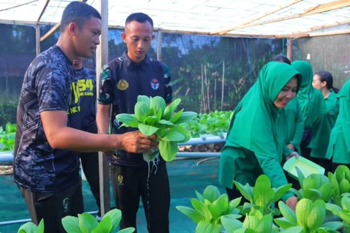 Portal Berita Indonesia dan Dunia Terkini Hari Ini, Update Harian Terbaru, Terlengkap, Tajam, Aktual dan Berimbang. Panen Sayur Hidroponik Wujud Kemandirian dan Inovasi Satuan Yonif 754 Kostrad - Teropongrakyat.co