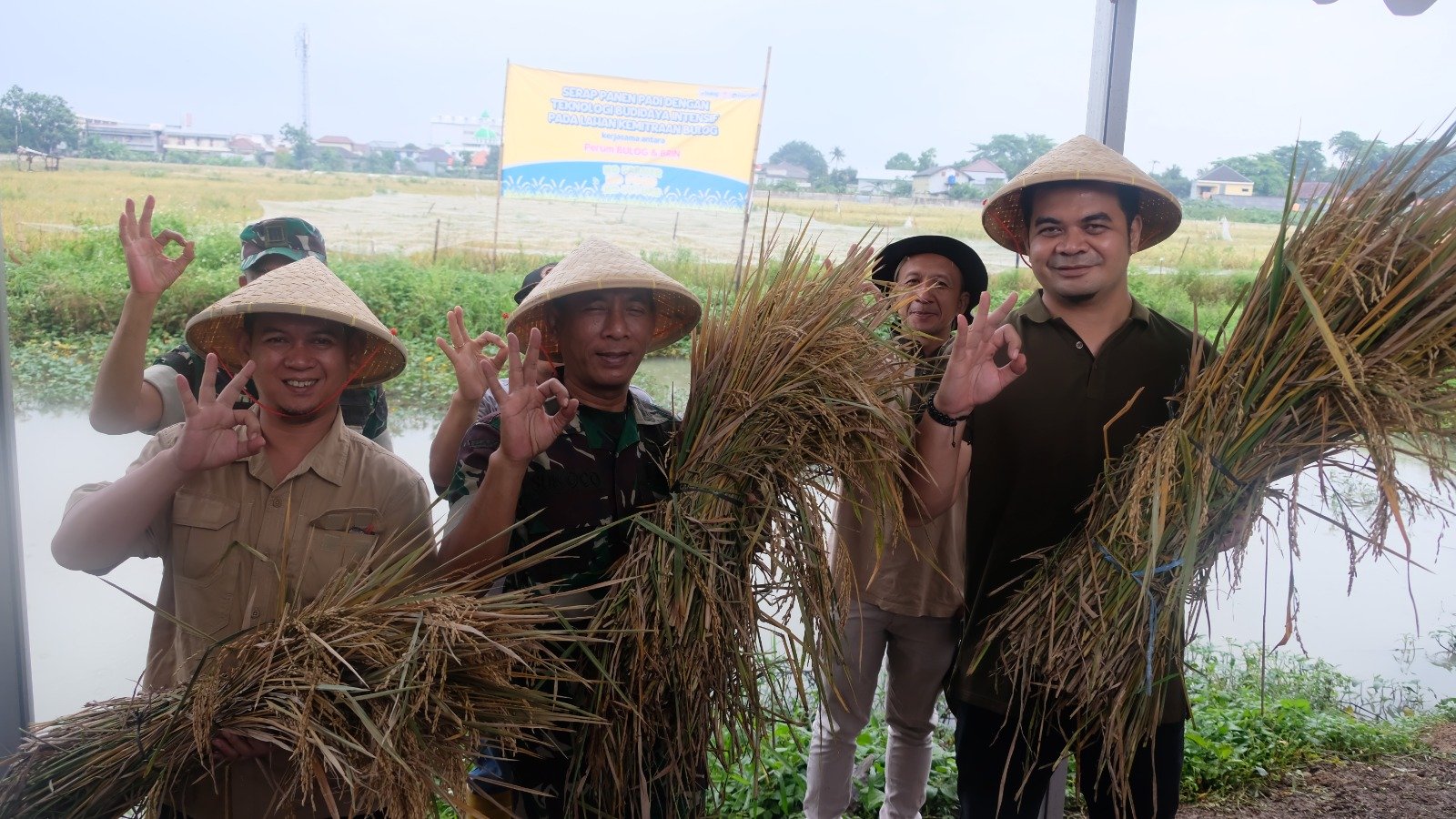 BULOG Gelar Serap dan Panen Padi dengan Teknologi Budidaya Intensif bersama BRIN
