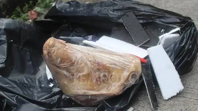 Kantor Tempo Diteror Kepala Babi dan Bangkai Tikus, Dugaan Terkait Investigasi Bocor Alus Politik - Teropongrakyat.co