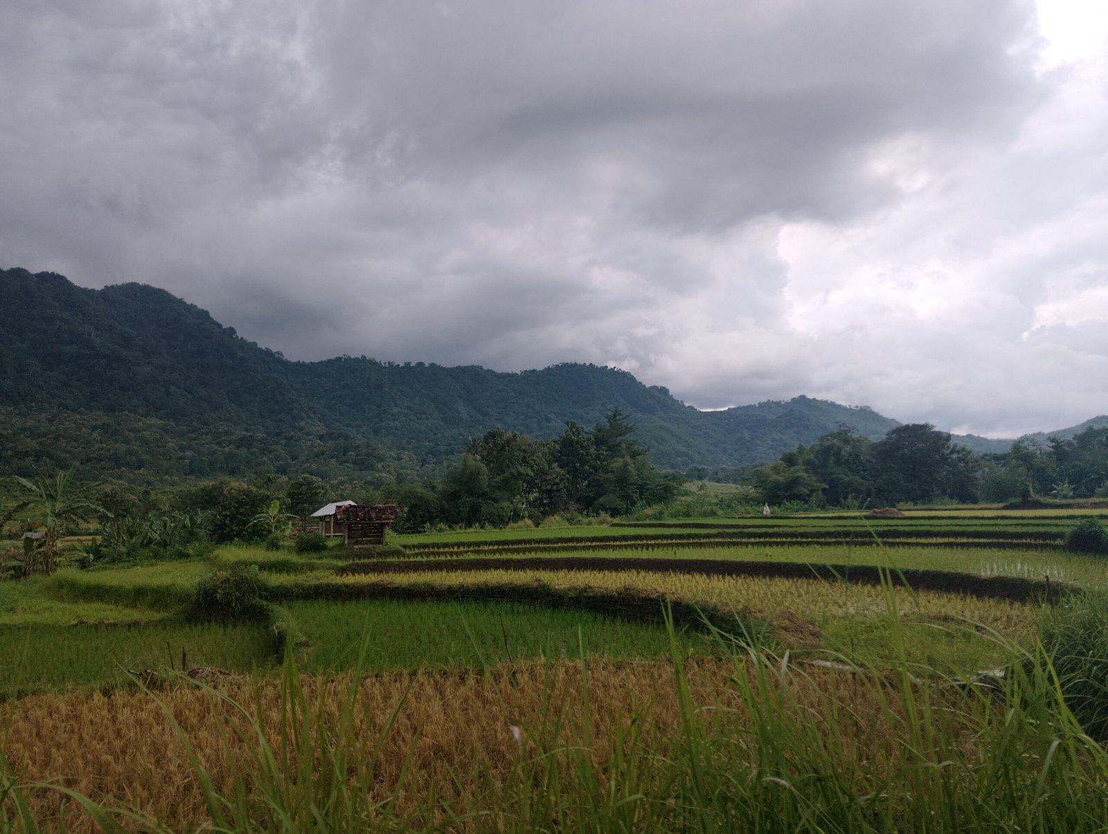 Galaherang, Desa di Kuningan Dengan Sejarah Mataram dan Pesona Alam yang Memikat - Teropongrakyat.co