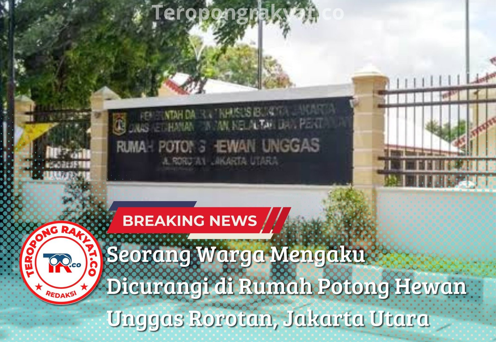 Seorang Warga Mengaku Dicurangi di Rumah Potong Hewan Unggas Rorotan, Jakarta Utara