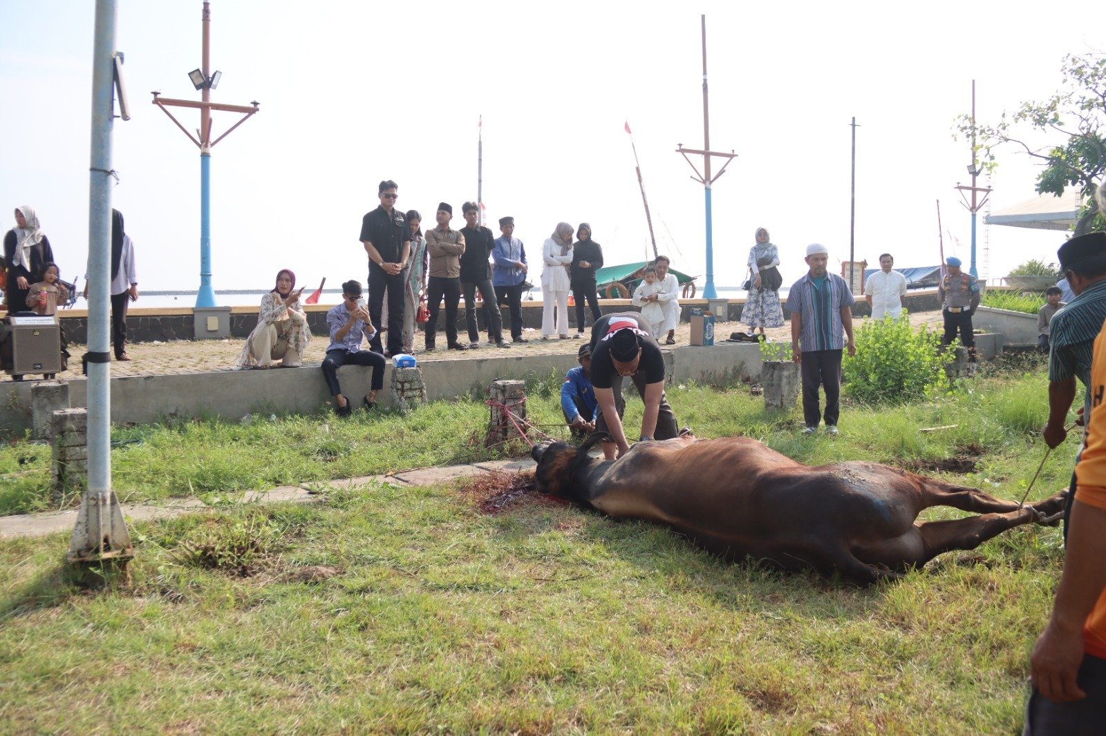 Polres Kepulauan Seribu Gelar Penyembelihan Hewan Kurban Idul Adha 1446 H di Marina Ancol
