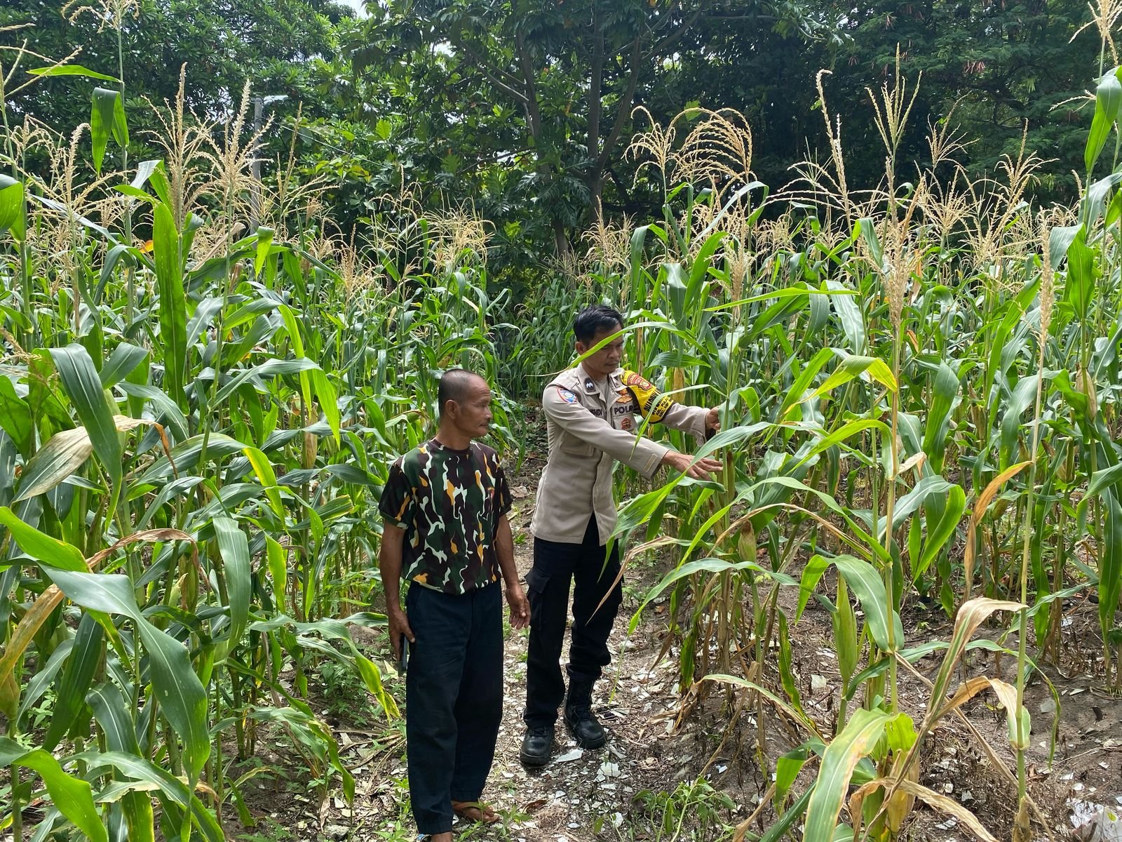 Tokoh Masyarakat Apresiasi Polres Kepulauan Seribu atas Program Ketahanan Pangan di Pulau Panggang