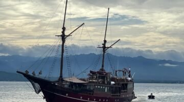 Jemput Wisatawan Asing Kapal Pesiar KM. Arenui Sandar Di Pelabuhan Donggala