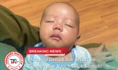 Mau Bayi Gemuk dan Sehat? Ini Tipsnya Biar Nggak Salah Kaprah!