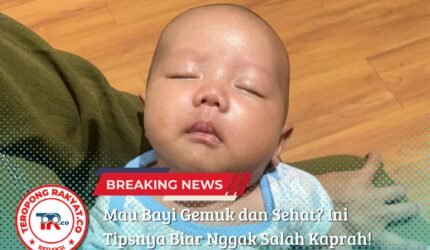 Mau Bayi Gemuk dan Sehat? Ini Tipsnya Biar Nggak Salah Kaprah! - Teropong Rakyat