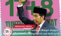 Kesamaan 17+8 Tuntutan Rakyat dengan Visi Jokowi, Benang Merah tapi Beda Arah