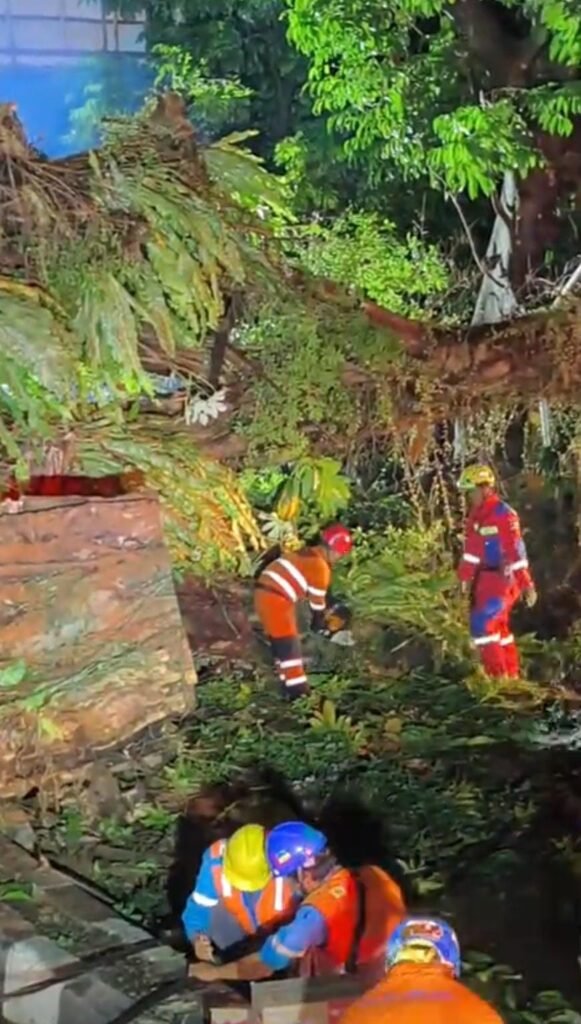 Portal Berita Indonesia dan Dunia Terkini Hari Ini, Update Harian Terbaru, Terlengkap, Tajam, Aktual dan Berimbang. Pohon Besar Tumbang di Jalan Kapten Muslihat, Lalin Sempat Dialihkan - Teropong Rakyat