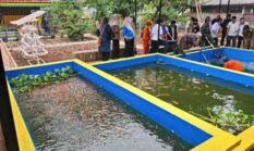 Dari Pelabuhan ke Kolam: Pelindo Sunda Kelapa Dukung Ketahanan Pangan Jakarta Utara