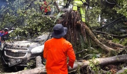 Angkot Tertimpa Pohon Tumbang di Sukasari, Lalu Lintas Macet Panjang - Teropong Rakyat