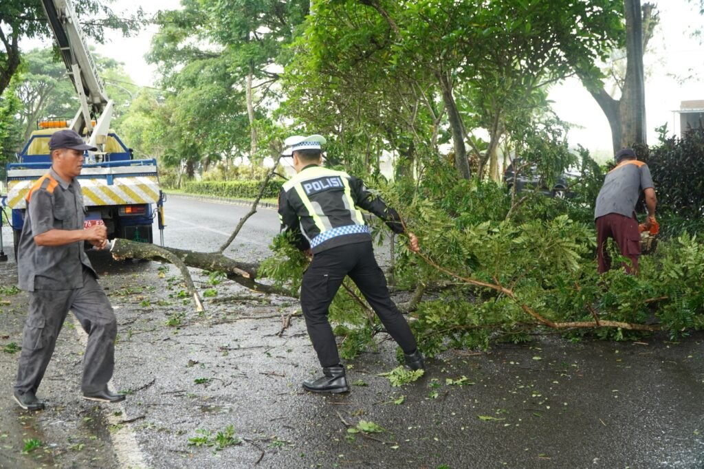 Portal Berita Indonesia dan Dunia Terkini Hari Ini, Update Harian Terbaru, Terlengkap, Tajam, Aktual dan Berimbang. Operasi Zebra Semeru 2025, Satlantas Polres Malang Pangkas Ranting Pohon di Jalibar - Teropong Rakyat