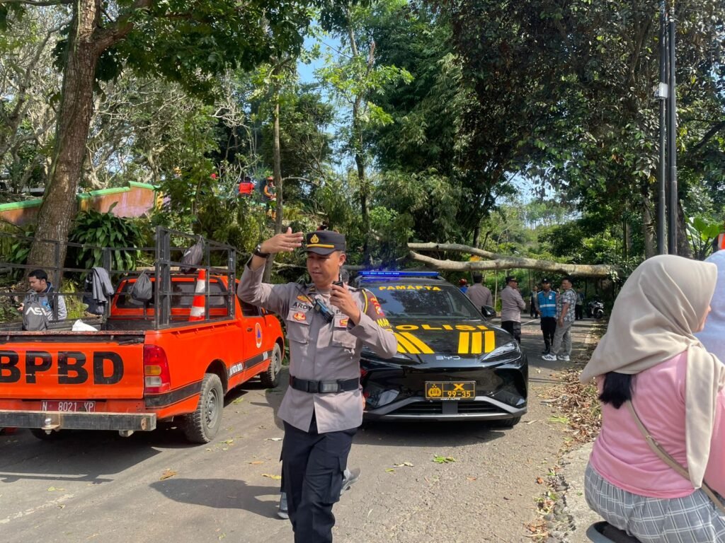 Portal Berita Indonesia dan Dunia Terkini Hari Ini, Update Harian Terbaru, Terlengkap, Tajam, Aktual dan Berimbang. Tim Gabungan Evakuasi Pohon Tumbang yang Tutup Jalan di Batu - Teropong Rakyat