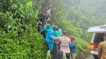 Laka Tunggal Mobil di Jalur Bromo, Polisi Evakuasi Korban