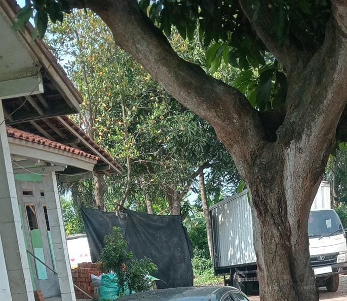 Terkesan Kebal Hukum, Dugaan Penimbunan BBM Solar Subsidi di Serang Masih Beroperasi - Teropong Rakyat