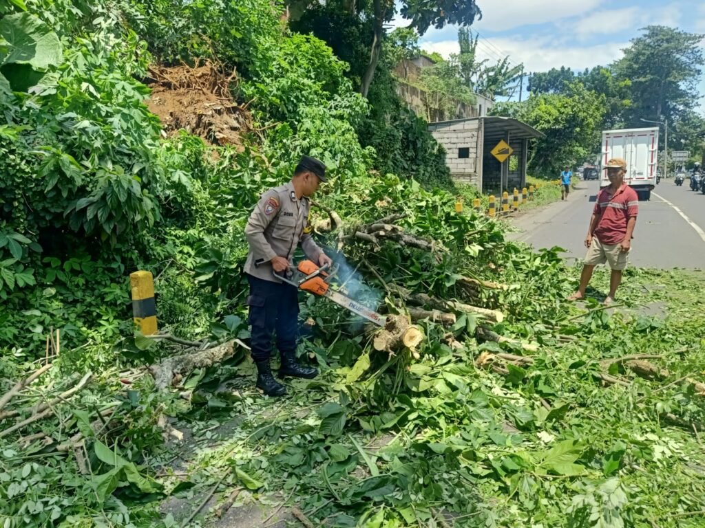 Portal Berita Indonesia dan Dunia Terkini Hari Ini, Update Harian Terbaru, Terlengkap, Tajam, Aktual dan Berimbang. Pohon Tumbang di Pakisaji Malang, Polisi Evakuasi Usai Laporan Warga ke 110 - Teropong Rakyat