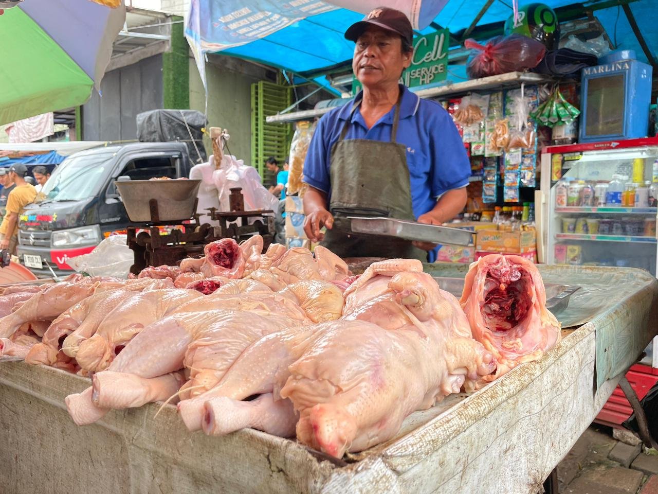 Portal Berita Indonesia dan Dunia Terkini Hari Ini, Update Harian Terbaru, Terlengkap, Tajam, Aktual dan Berimbang. Jalankan Arahan Presiden Prabowo, Harga Pangan Terkendali Jelang Ramadan - Teropong Rakyat