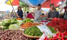 Jalankan Arahan Presiden Prabowo, Harga Pangan Terkendali Jelang Ramadan