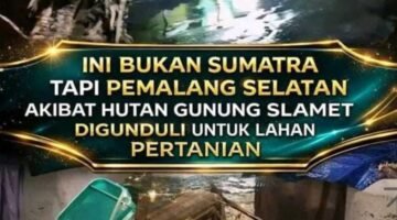Banjir Bandang Terjang Pemalang Selatan, Akses Pulosari–Moga Terputus Total