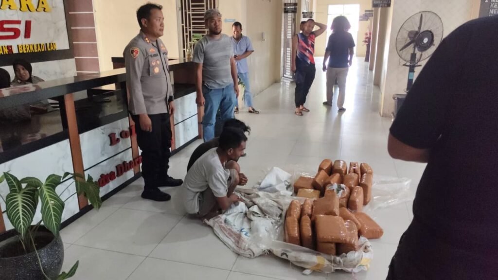 Portal Berita Indonesia dan Dunia Terkini Hari Ini, Update Harian Terbaru, Terlengkap, Tajam, Aktual dan Berimbang. Ditengah pemulihan pasca banjir, Polres Aceh Tenggara berhasil Gagalkan Peredaran 50,7 Kg Ganja - Teropong Rakyat