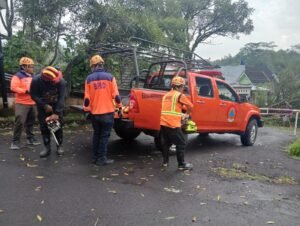Portal Berita Indonesia dan Dunia Terkini Hari Ini, Update Harian Terbaru, Terlengkap, Tajam, Aktual dan Berimbang. Hujan Angin Terjang Pakisaji, Pohon Tumbang Tutup Akses Perumahan Citra Raya - Teropong Rakyat