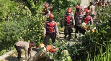 Tanggap Bencana, Polres Tuban Tangani Dampak Angin Puting Beliung