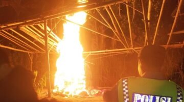 Polisi Bongkar Arena Sabung Ayam di Malang Selatan