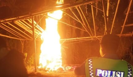 Polisi Bongkar Arena Sabung Ayam di Malang Selatan - Teropong Rakyat