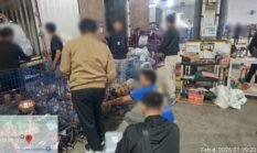 Bea Cukai Malang Amankan 110.840 Batang Rokok Ilegal dari Jasa Ekspedis