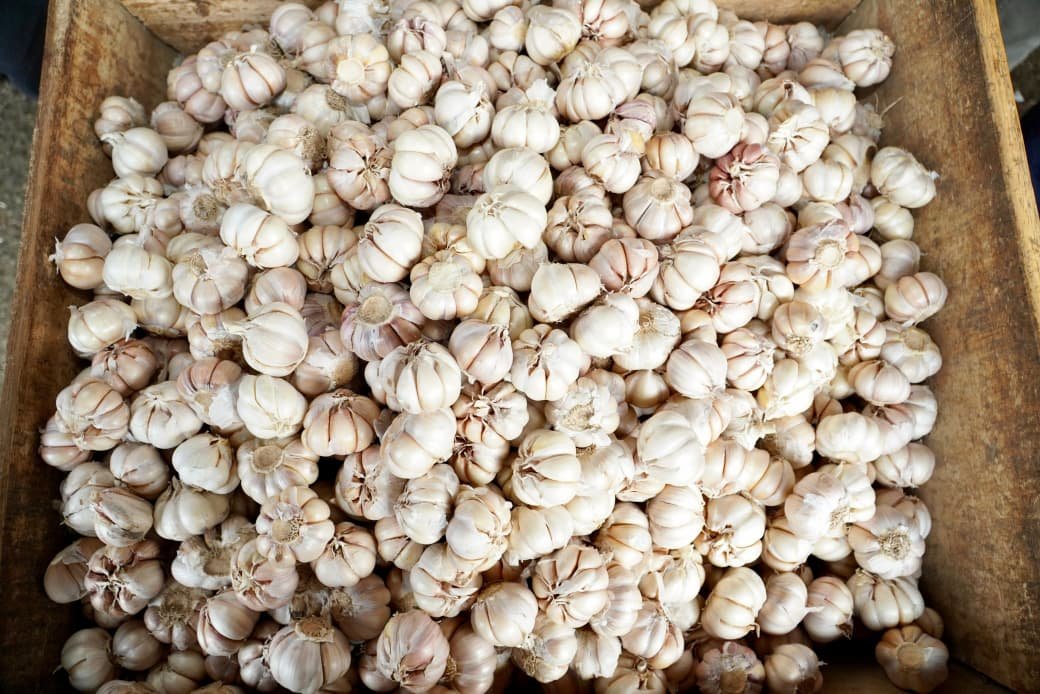 Stabilisasi Harga Bawang Putih, Bapanas Panggil Importir - Teropong Rakyat