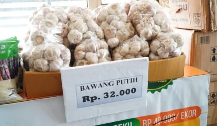 Stabilisasi Harga Bawang Putih, Bapanas Panggil Importir - Teropong Rakyat