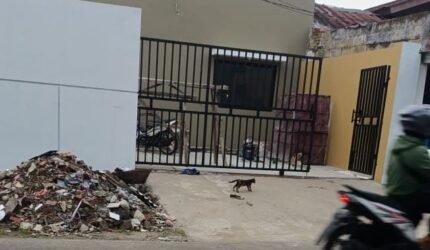 Bupati Tangerang Diminta Segera Tertibkan Rumah Kos Tanpa PBG di Bumi Puspitek Asri - Teropong Rakyat