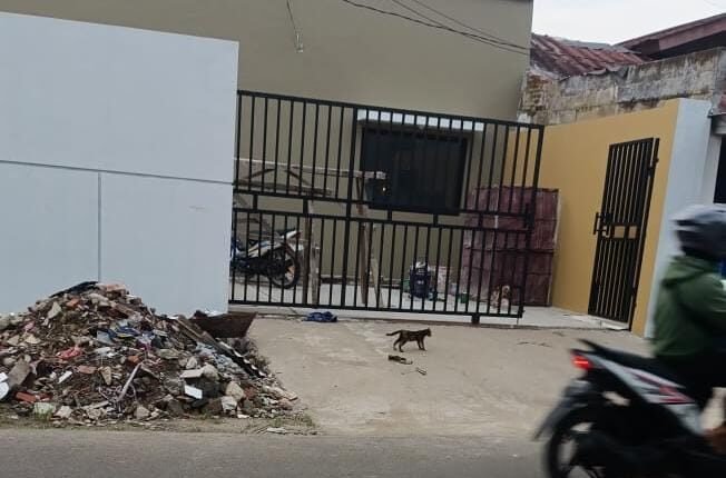 foto slider headline