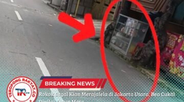 Rokok Ilegal Kian Merajalela di Jakarta Utara, Bea Cukai Dinilai Tutup Mata