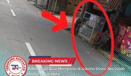 Rokok Ilegal Kian Merajalela di Jakarta Utara, Bea Cukai Dinilai Tutup Mata - Teropong Rakyat