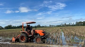 Digitalisasi Pertanian dan Regenerasi Petani Muda: Strategi Transformasi Menuju Kedaulatan Pangan Berkelanjutan