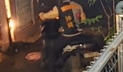 Dua Kali Beruntun, Motor Warga Kembali Hilang di Sungai Bambu Tanjung Priok - Teropong Rakyat